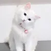 putrizahw