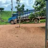 rafael.santos.paix
