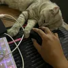 tdgamer074