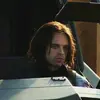 frogsforbucky