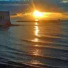 carmencaiffa785