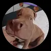 mestymoney1