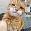 oyen_thebeast11