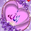 mishi.78679