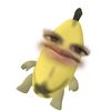chipitqx