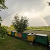 ziza876