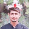 kamran_guli3