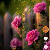 user4721977493134