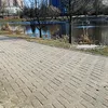 bodziobodzio19