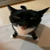 yrej_0