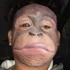 le_touuunsi