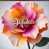 mumnoor01