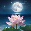 magicalmoon80