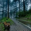 safaa.elsayed45