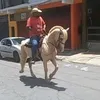 carioca2489
