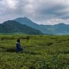 jihanrmd27