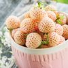 strawberrykuwh