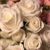 amal_11199