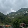 abohsan82
