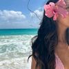 loulou_ham1