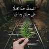 amiramrmr480