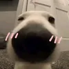 mquin_010