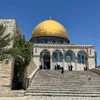 medina_chk