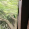 nhhh.___