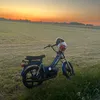 moaifut