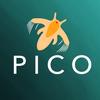 picocosmos