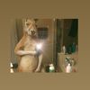 haenz_505
