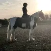 jumpingmy_cobdenny