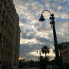 nesreenyaser526