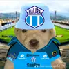 sebastianguerrer234