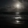 malak_tqt