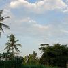 wyn.dw.rahayu
