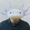 aaronaxolotl