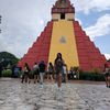 celiis29
