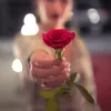 lailafatom332