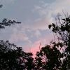 frzdvy