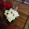 set_miser