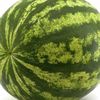 watermelon21536