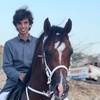 ﮼احمد🐎