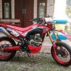 holik228