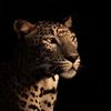 leopar.ls
