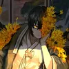sadrot_pro
