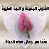 dy35cjvky7nh