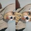 latichaini_