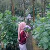 dwilinaaaa