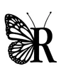 butterfly__822